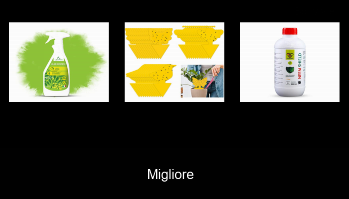 40 La migliore piante contro zanzare del 2022 – Non acquistare una piante contro zanzare finché non leggi QUESTO!