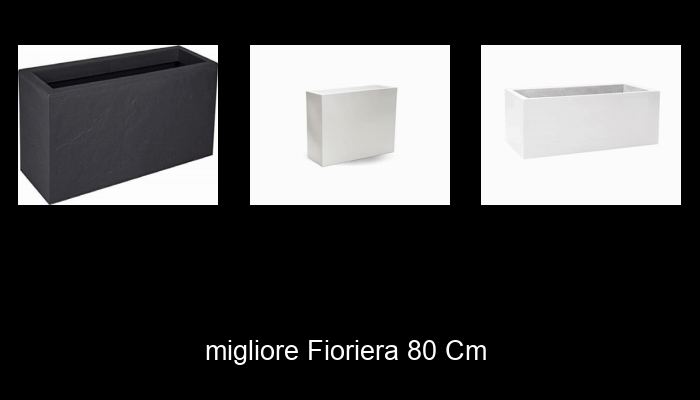 Le Migliori 10 fioriera 80 cm del 2023 – Non Osare Acquistare Prima di Leggere QUESTO!