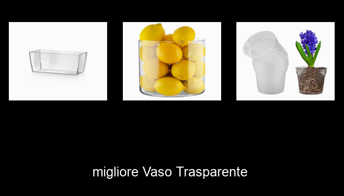 Le Migliori 10 vaso trasparente del 2023 – Non Osare Acquistare Prima di Leggere QUESTO!